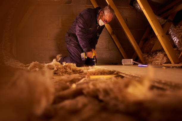 Best Eco-Friendly or Green Insulation Solutions  in Geneva, IL